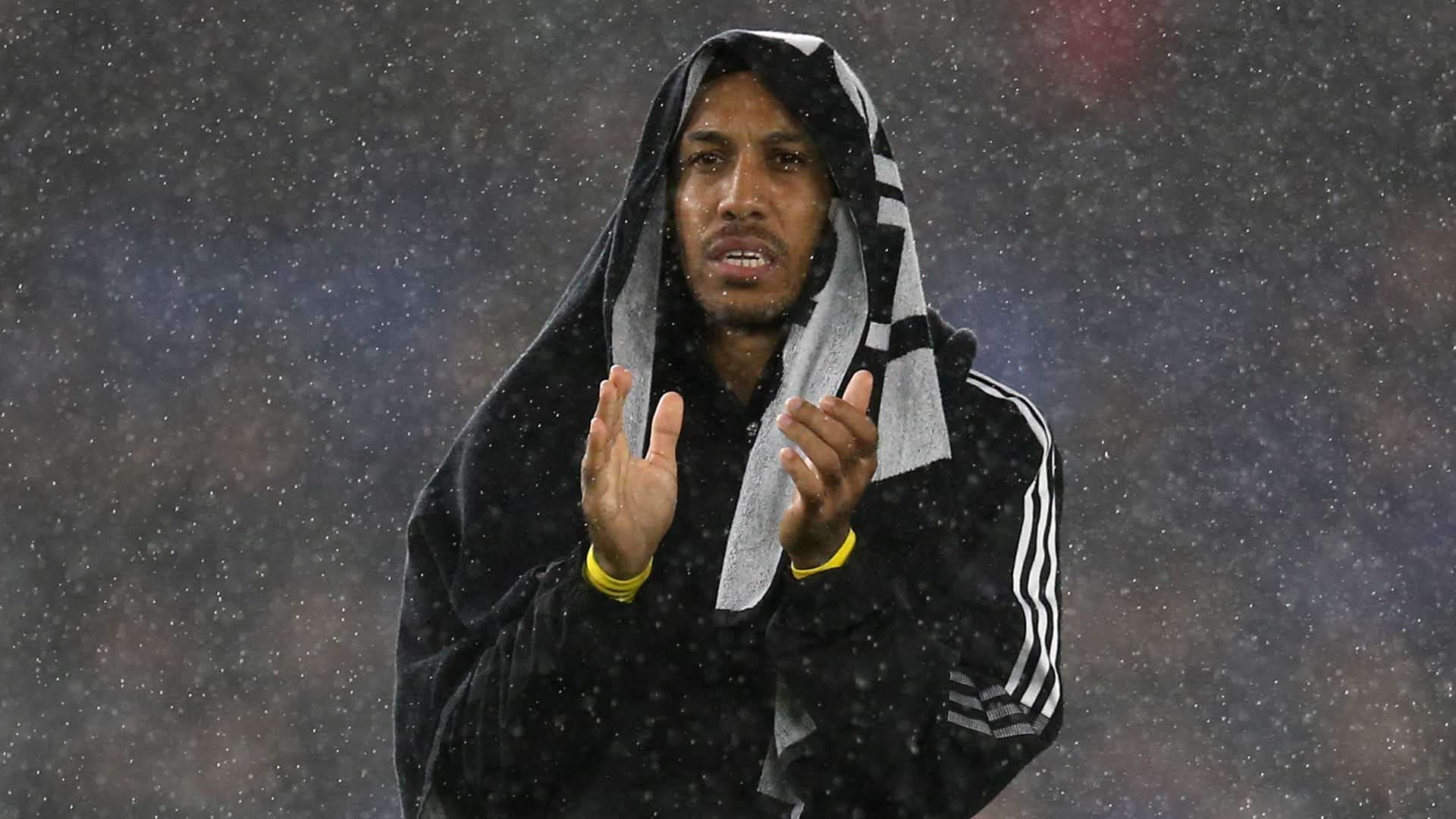 的巅峰表现 的巅峰表现